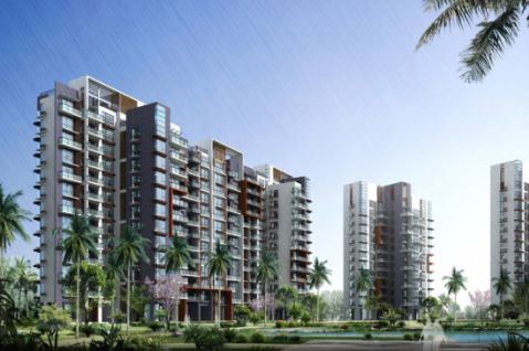 ?？凇ぬ旌?guó)際44棟別墅室外魚池水處理工程